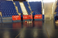 Sport Exhibition Itinerante - 11
